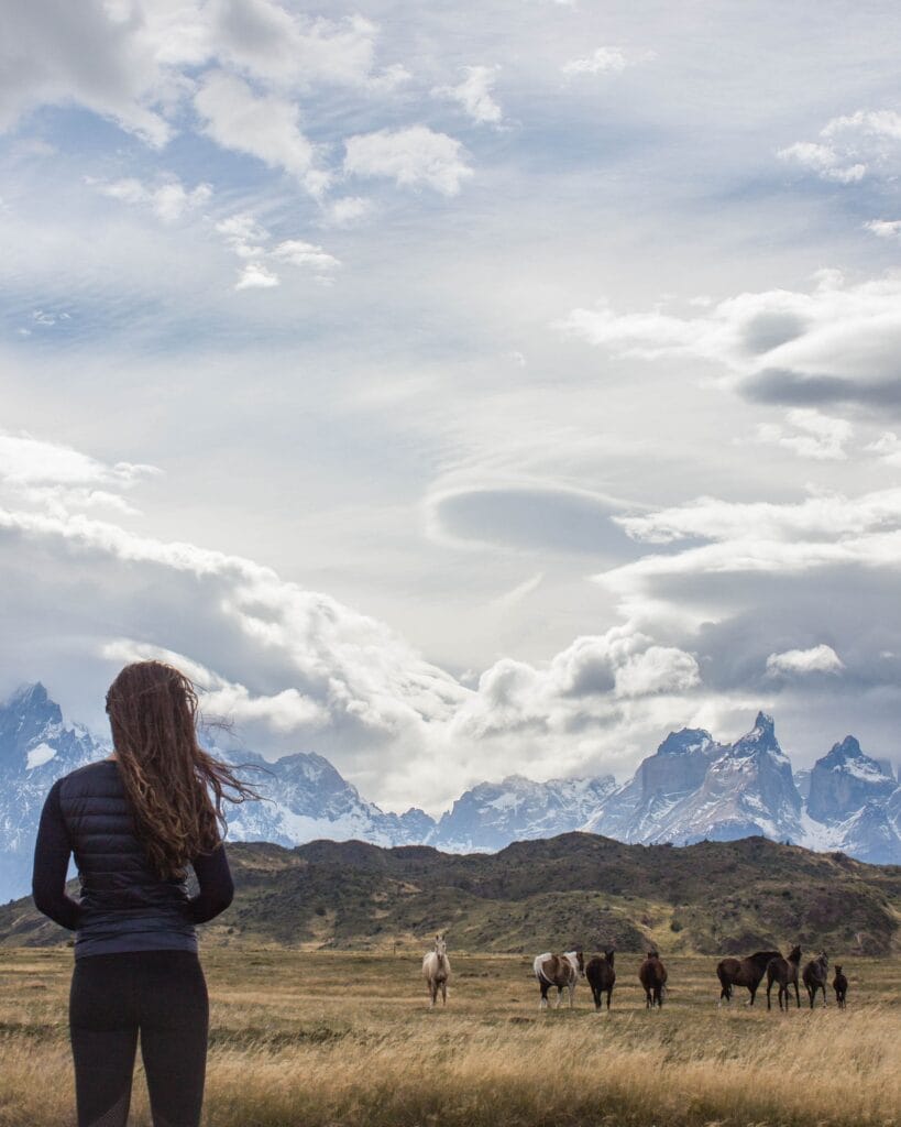 TORRES DEL PAINE NATIONAL PARK Patagonia Chile horses