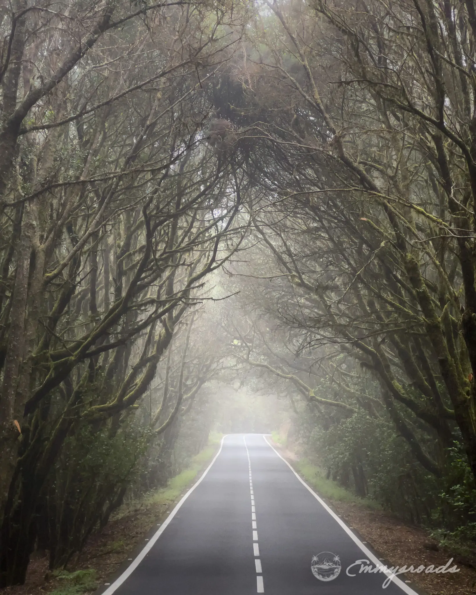 Gomera road Canary islands