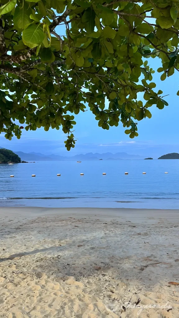 Abraao Ilha Grande Brazil