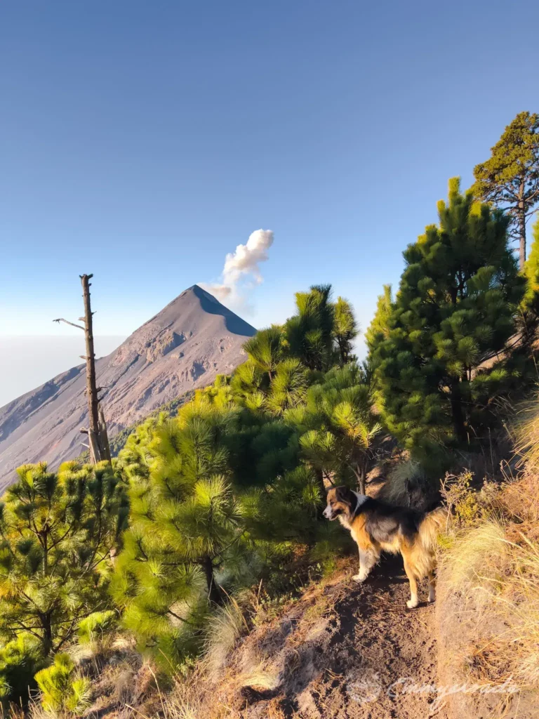 Acatenango Guatemala