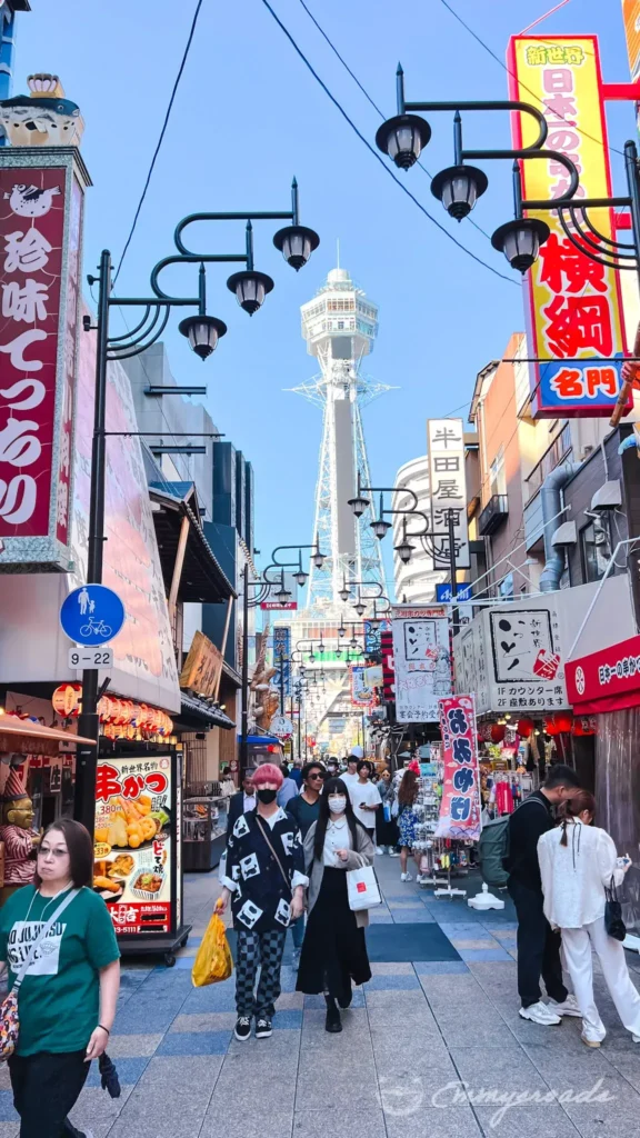 Dotonbori District Osaka Japan
