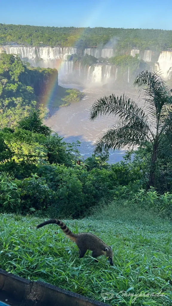 Iguassu falls Brazil (Iguaçu)