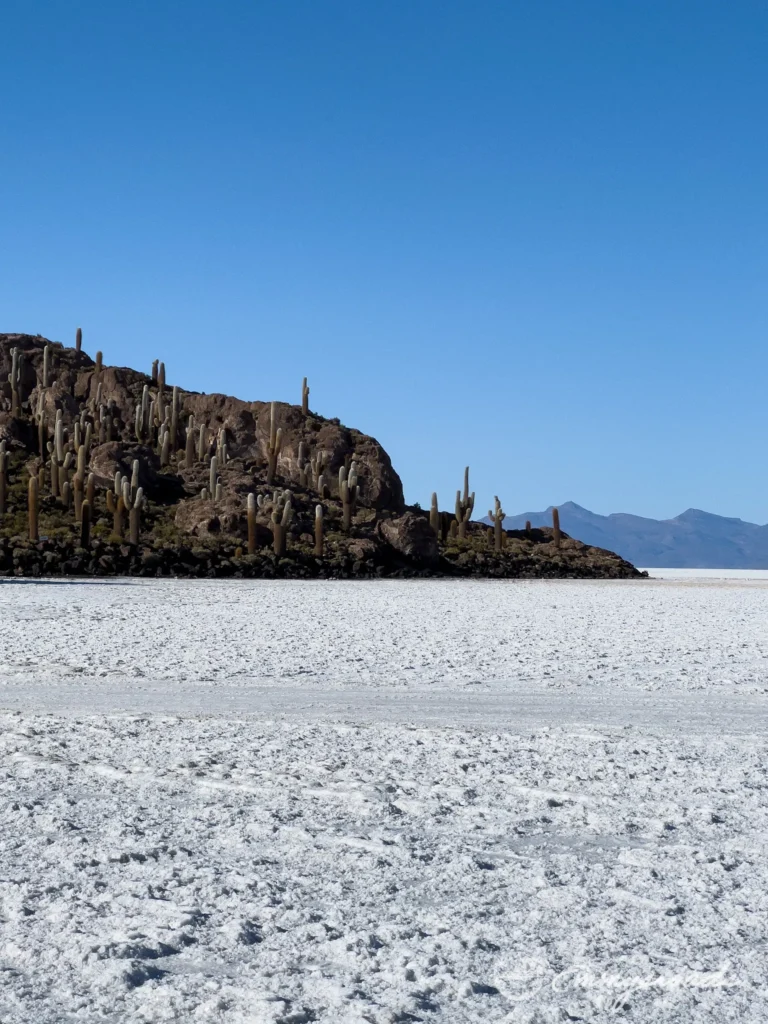 Isla del Pescado Bolivia