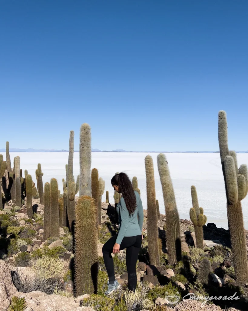 Isla del Pescado Bolivia