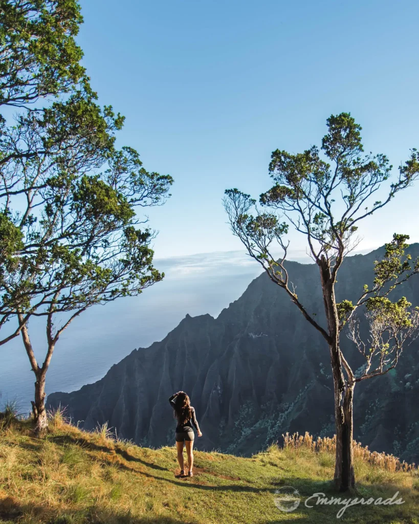 KALEPA RIDGE OR GOAT TRAIL hike Kauai Hawaii