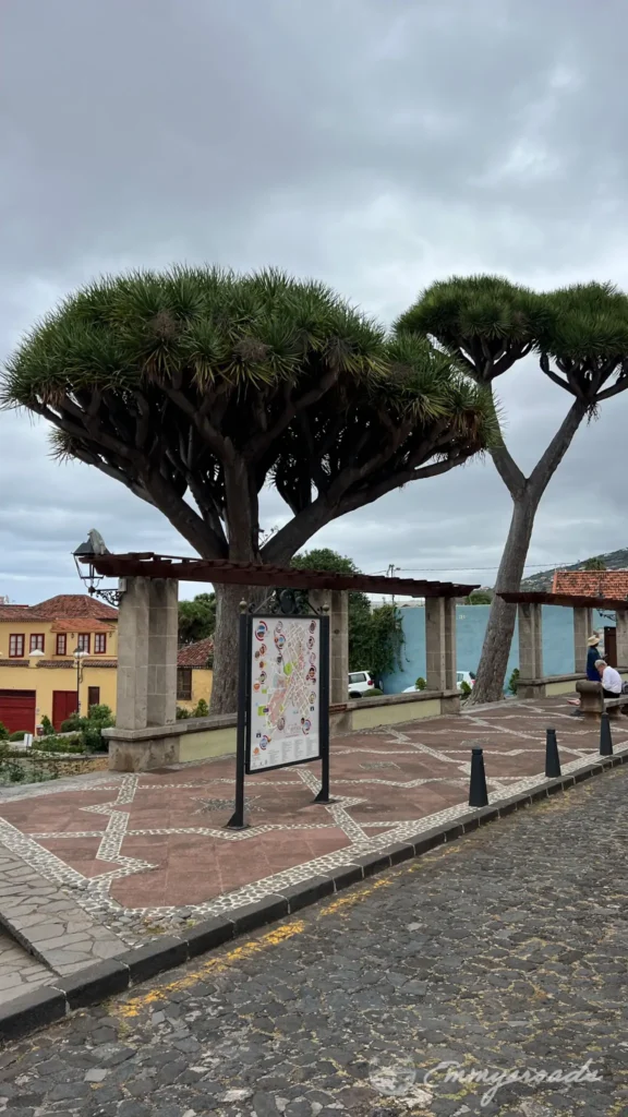 La Orotava Tenerife