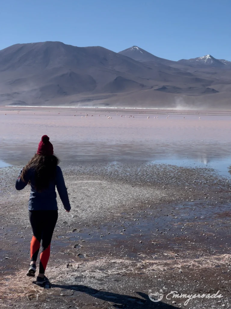 Laguna Colorada Bolivia