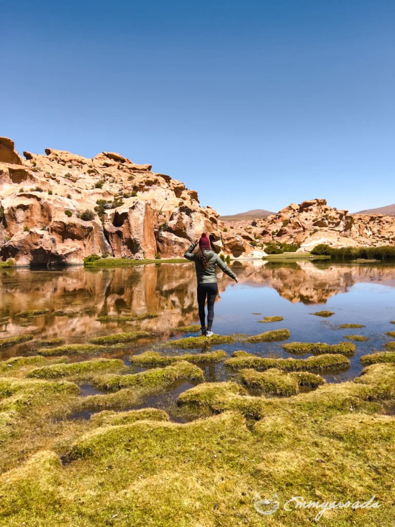 Laguna Negra Bolivia