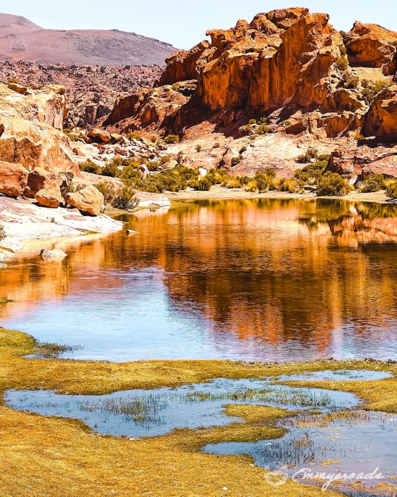 Laguna Negra Bolivia