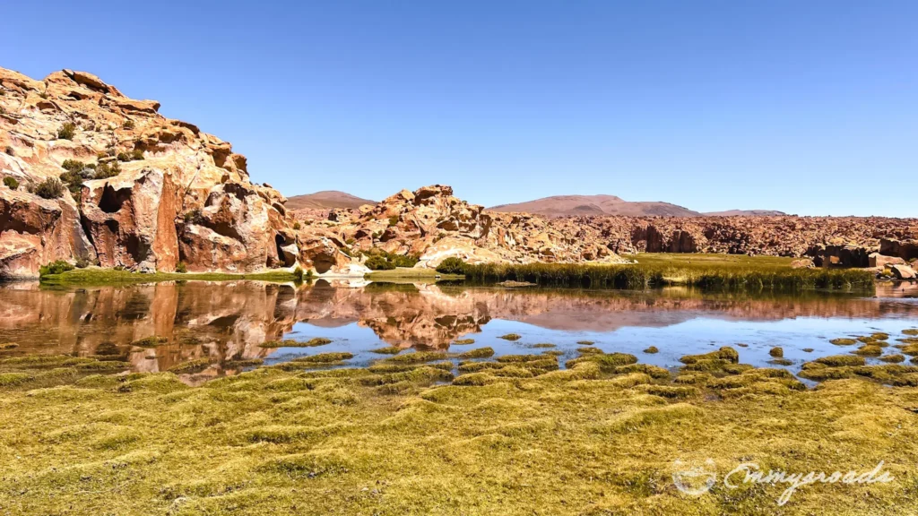 Laguna Negra Bolivia