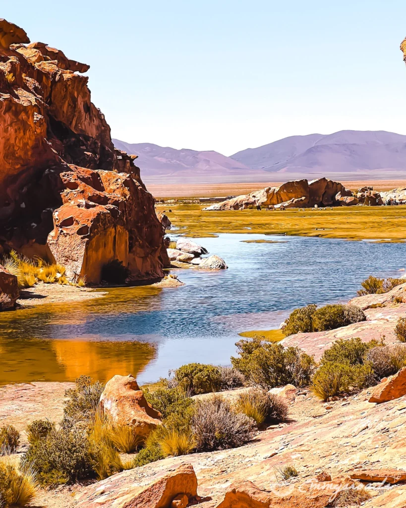 Laguna Negra Bolivia
