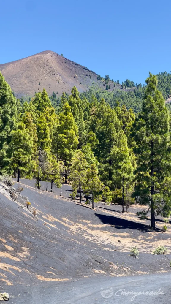 Mirador Astronómico del Llano del Jable