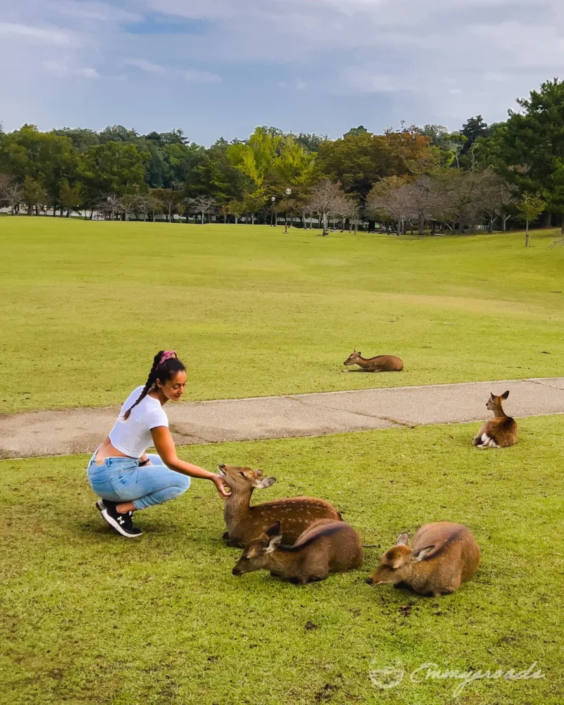 Nara Park
