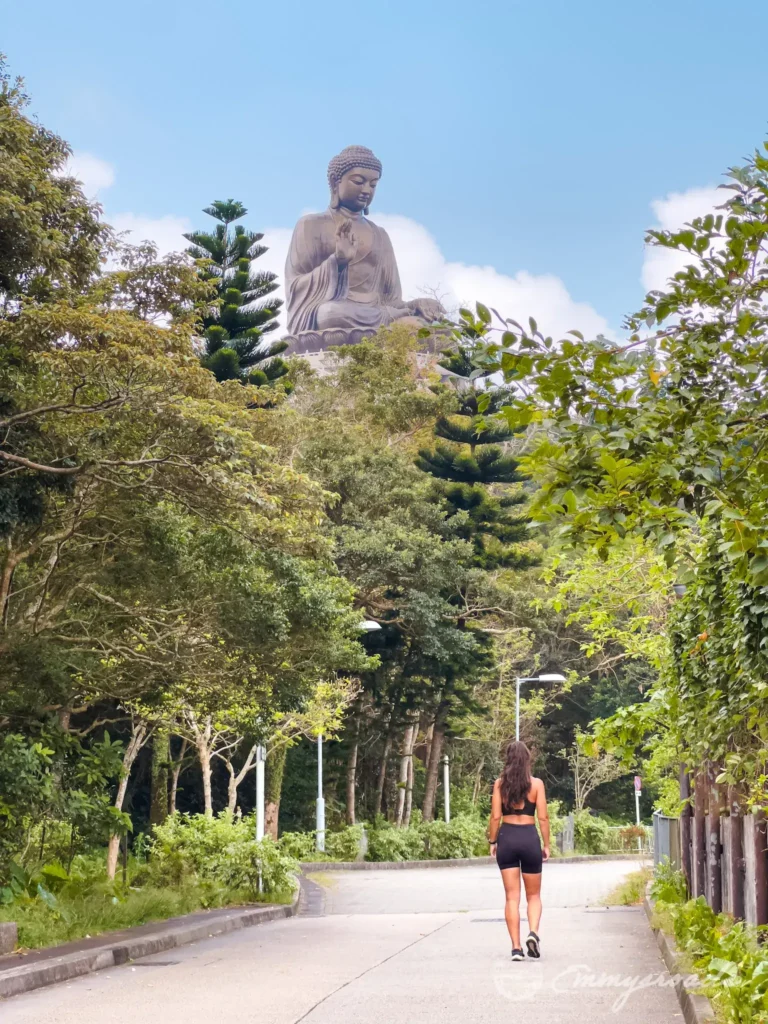 Ngong Ping Cable Car & Big Buddha Hong Kong