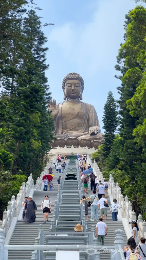 Ngong Ping Cable Car & Big Buddha Hong Kong