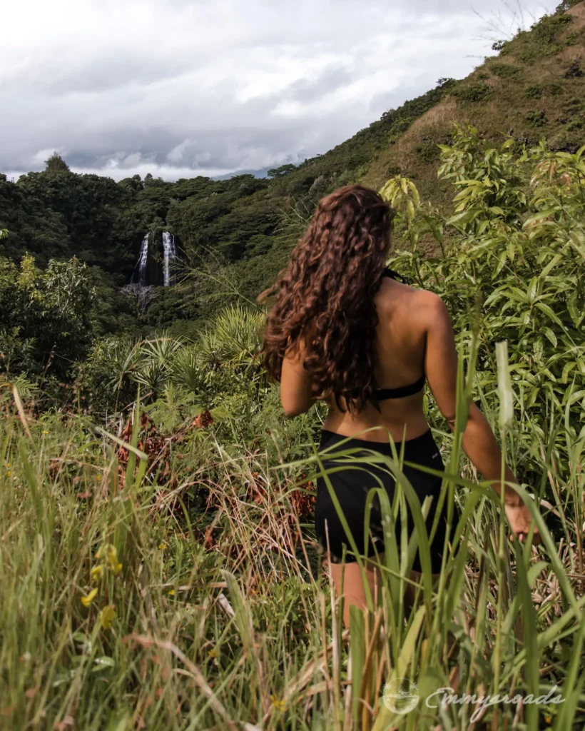 OPAEKAA FALLS Kauai Hawaii