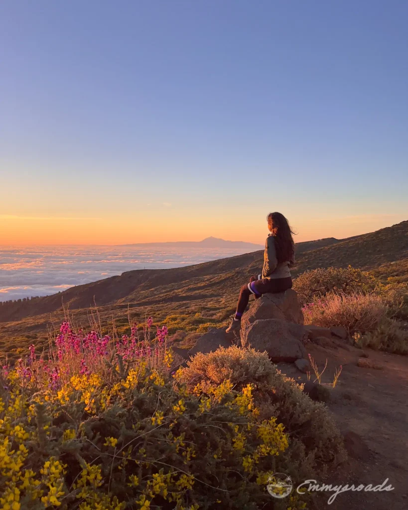 Parc national de la Caldeira de Taburiente La Palma Canary Islands