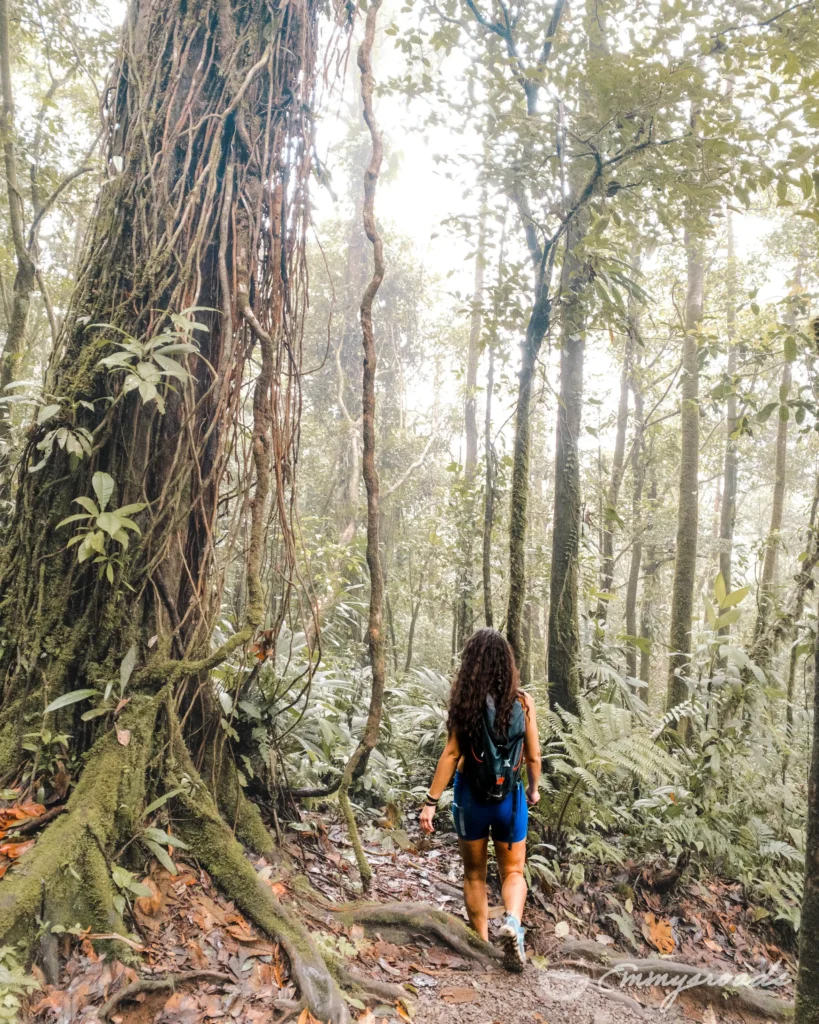RIO CELESTE waterfall hike Costa Rica
