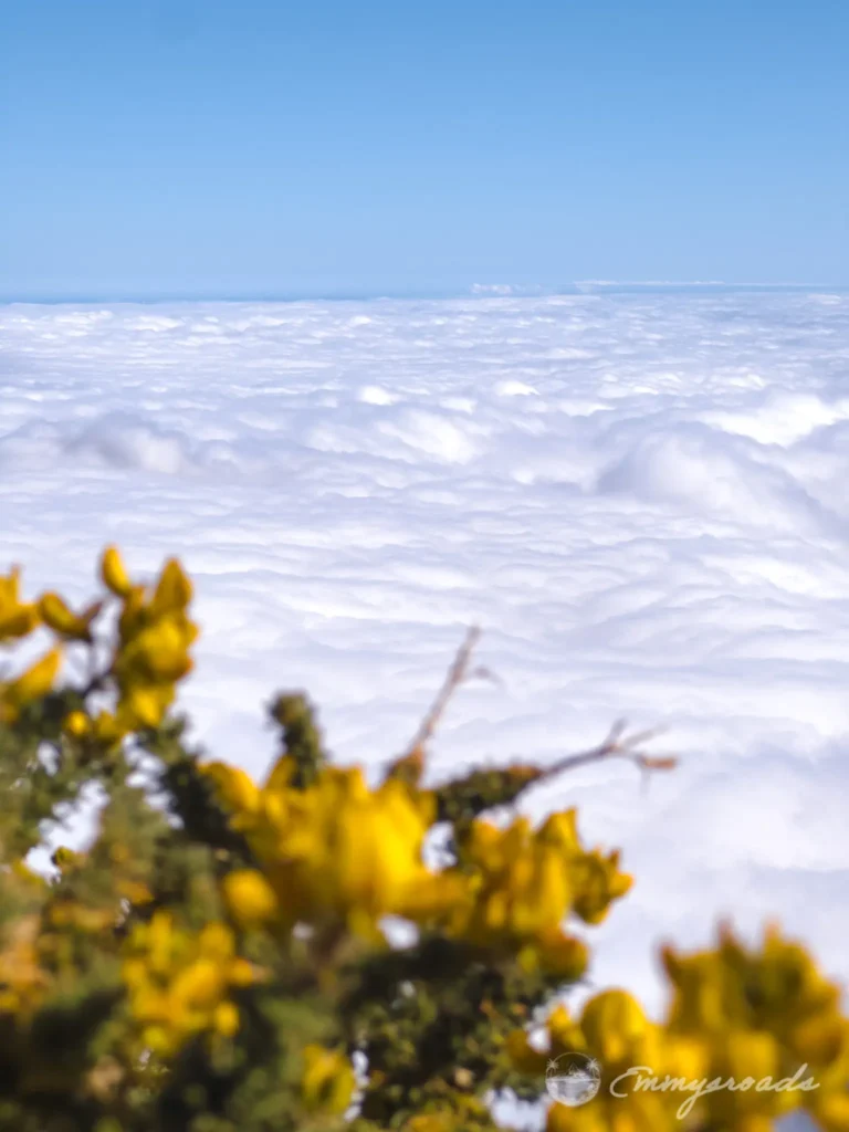 Roque de los Muchachos Pico de la Nieve hike La Palma Canary Islands