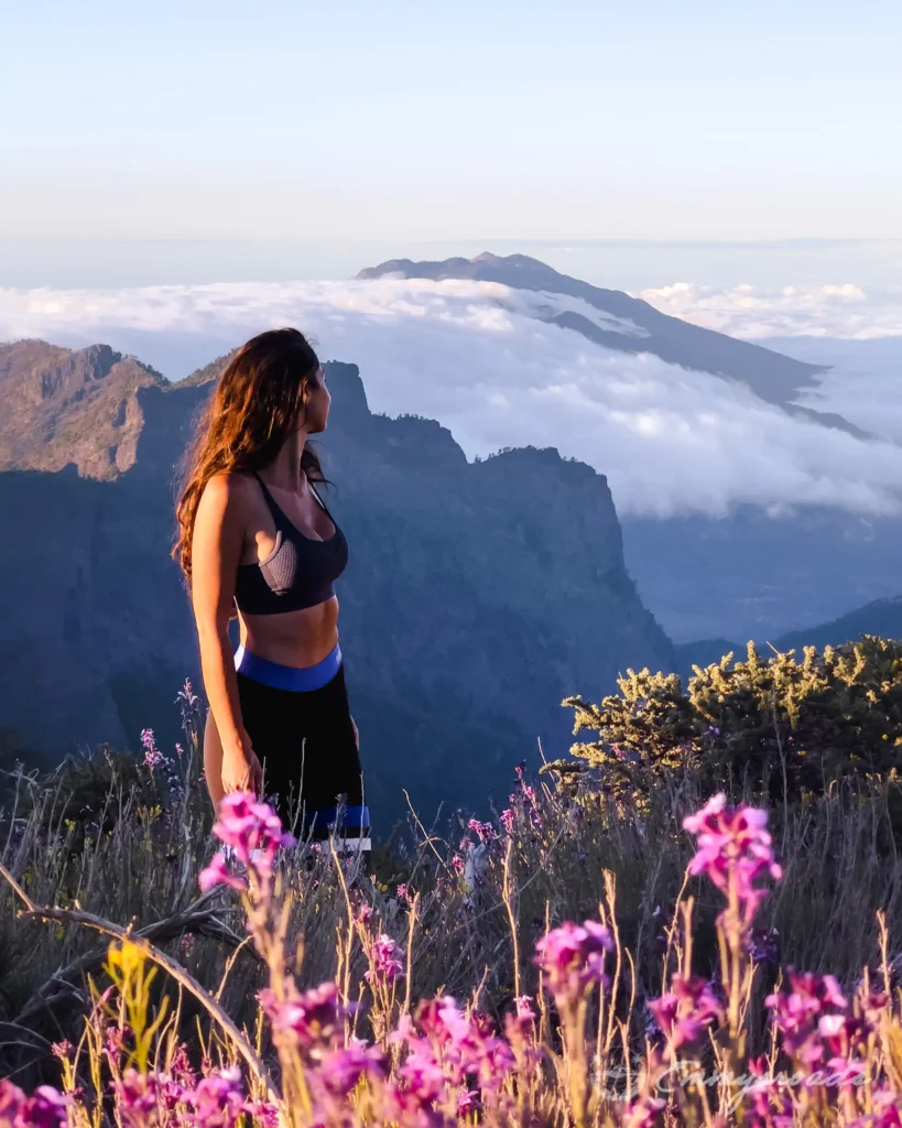 Roque de los Muchachos Pico de la Nieve hike La Palma Canary Islands