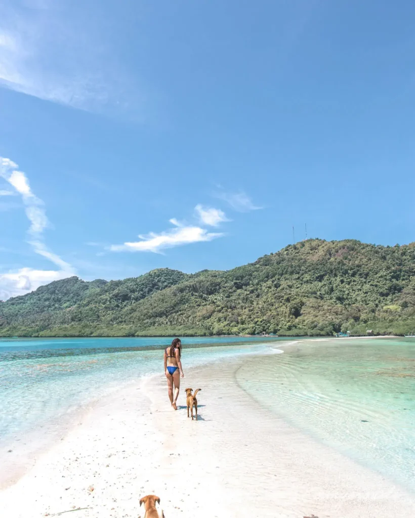 SNAKE ISLAND El nido Philippines