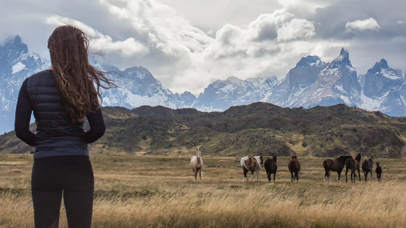 TORRES DEL PAINE NATIONAL PARK Patagonia Chile horses