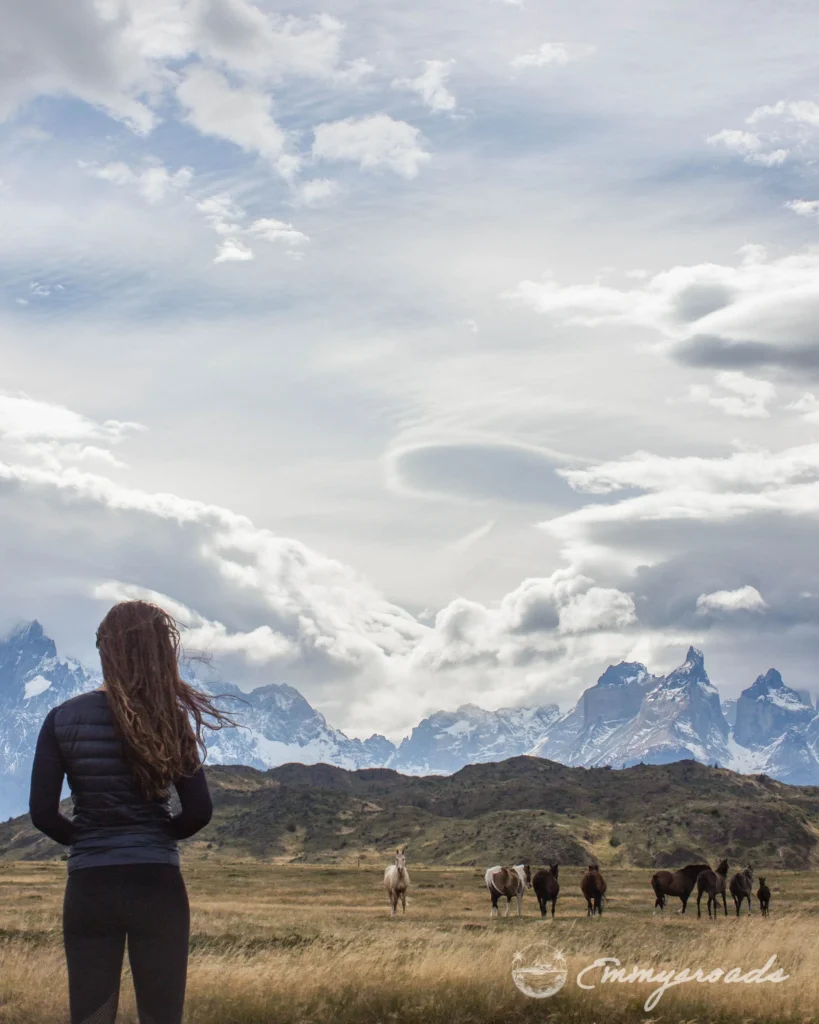 TORRES DEL PAINE NATIONAL PARK Patagonia Chile horses