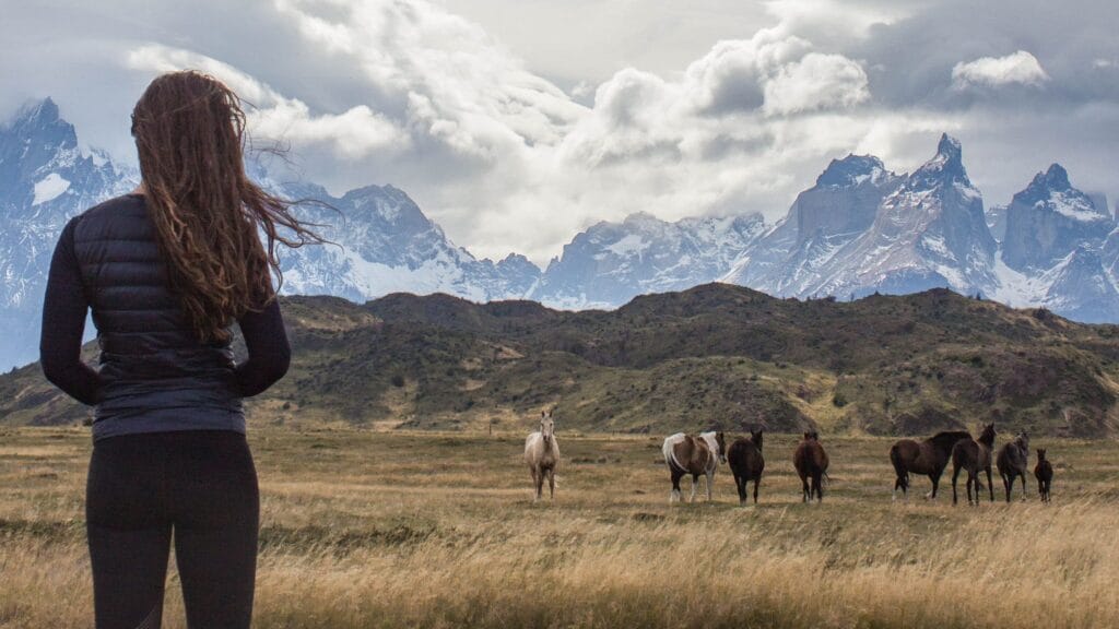 TORRES DEL PAINE NATIONAL PARK Patagonia Chile horses