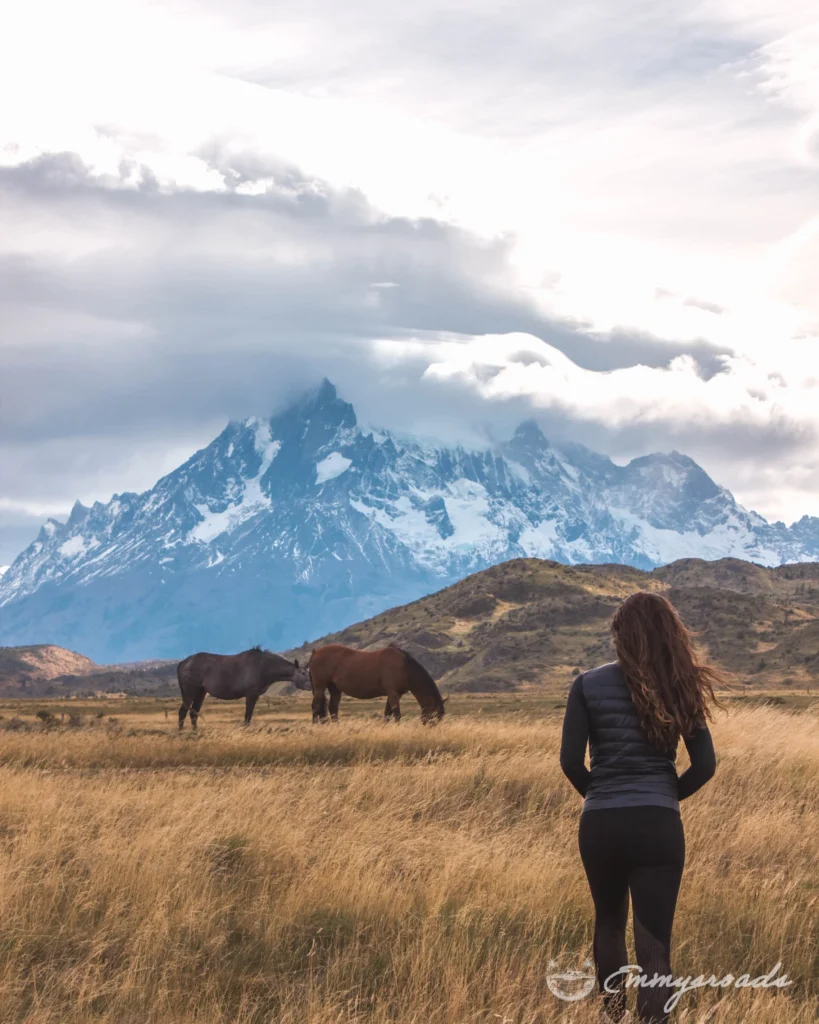 TORRES DEL PAINE NATIONAL PARK Patagonia Chile mountain