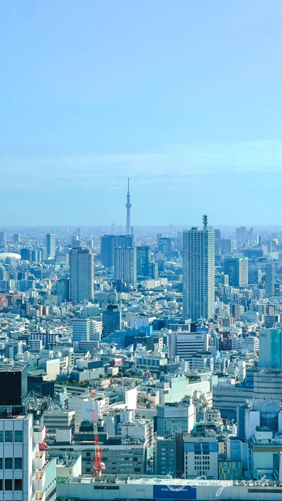 Tokyo Metropolitan Government Building