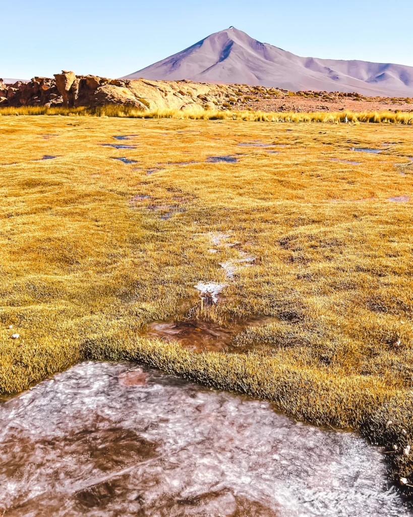 Tour Uyuni from Tupiza Bolivia