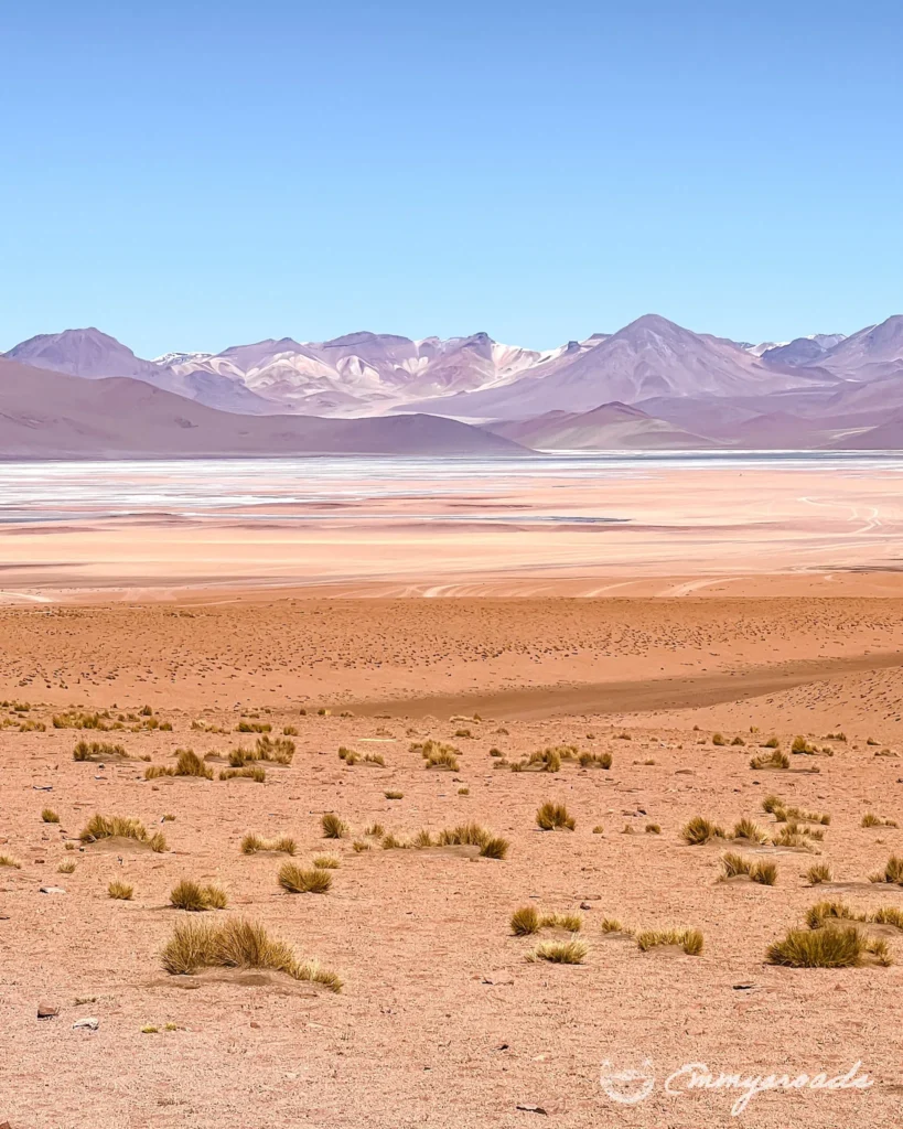 Tour Uyuni from Tupiza Bolivia
