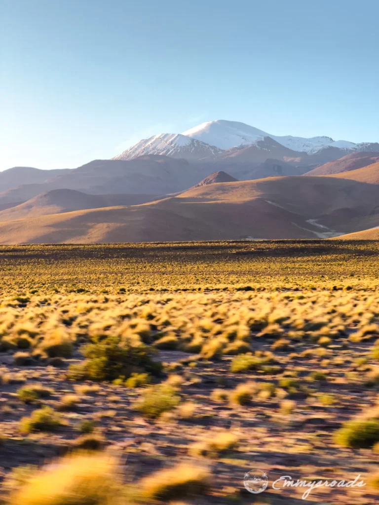 Tour Uyuni from Tupiza Bolivia