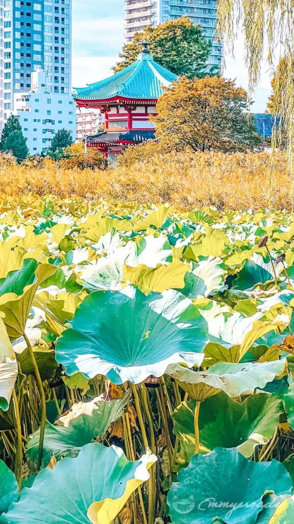 Ueno Park