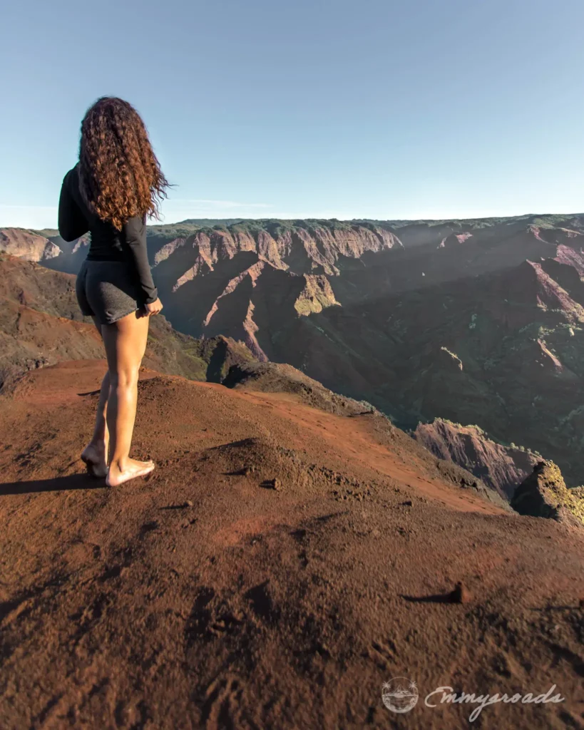 WAIMEA CANYON LOOKOUT Kauai Hawaii
