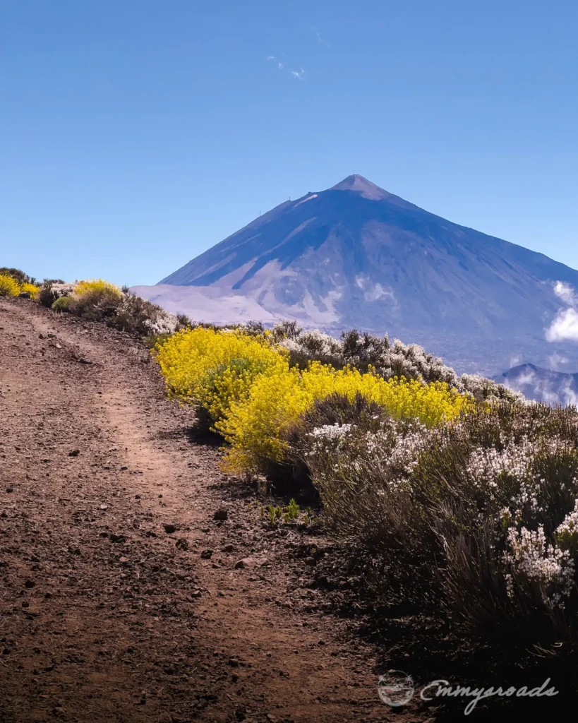 Window on Teide hike Tenerife