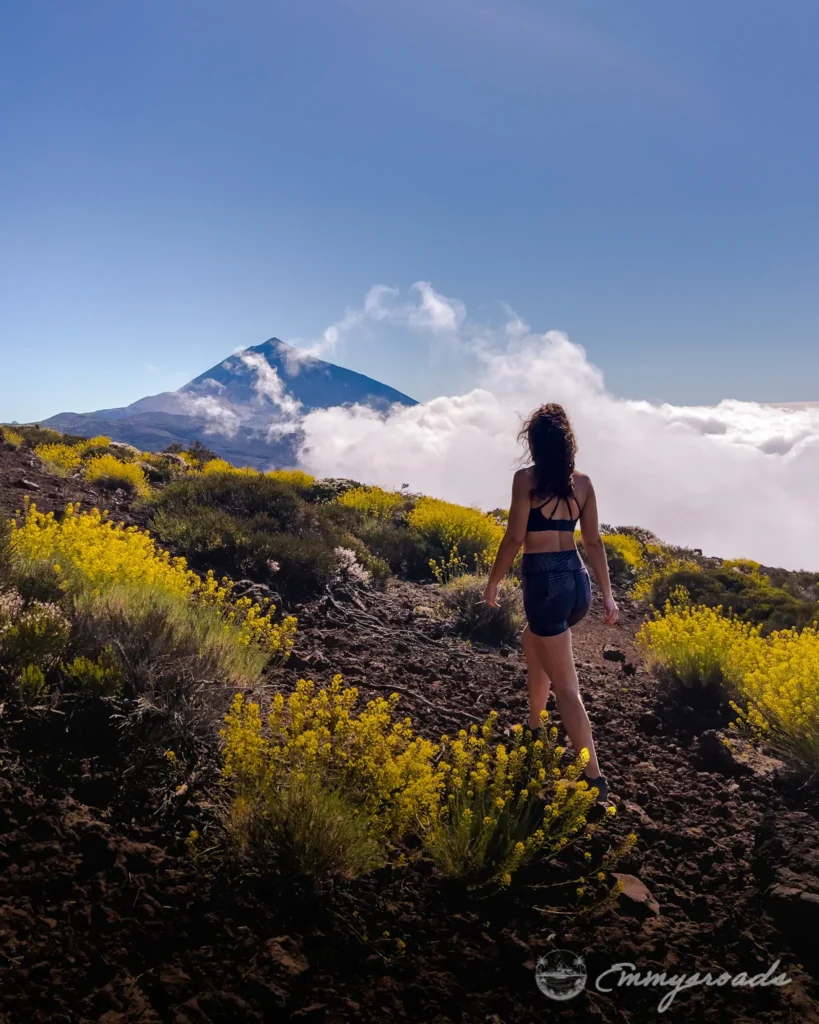 Window on Teide hike Tenerife