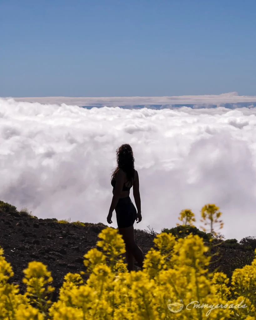 Window on Teide hike Tenerife