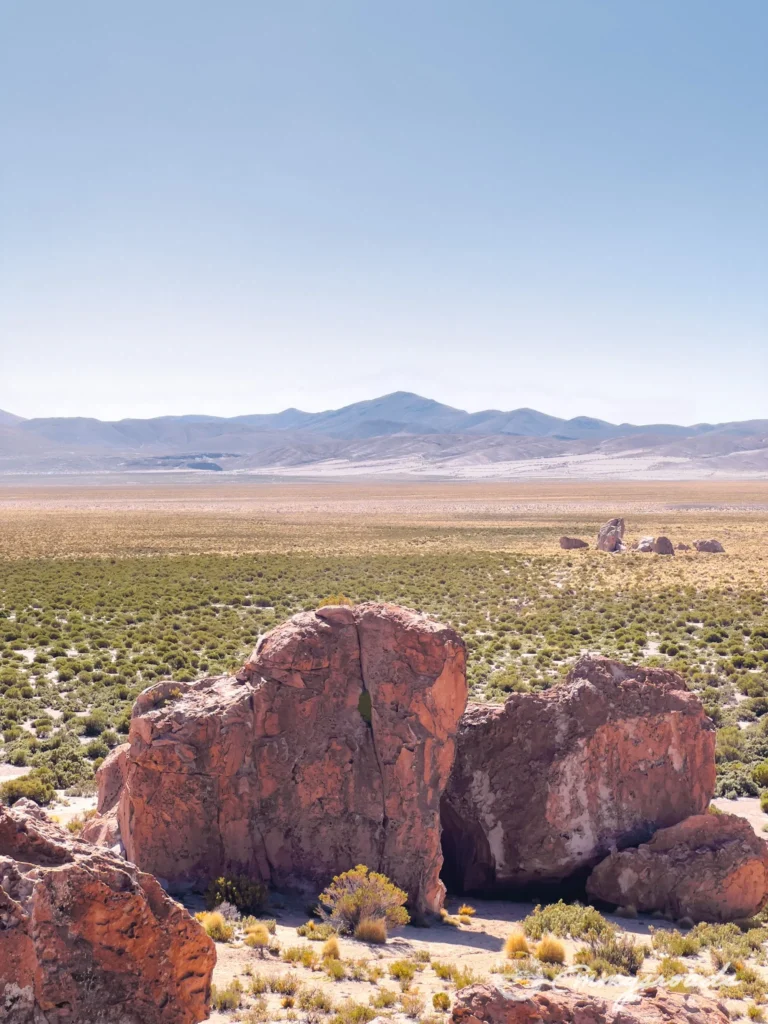italia perdida bolivia