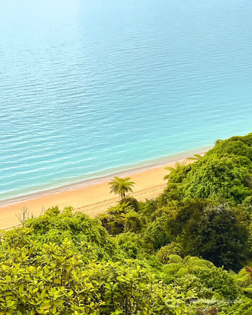 Abel Tasman hike