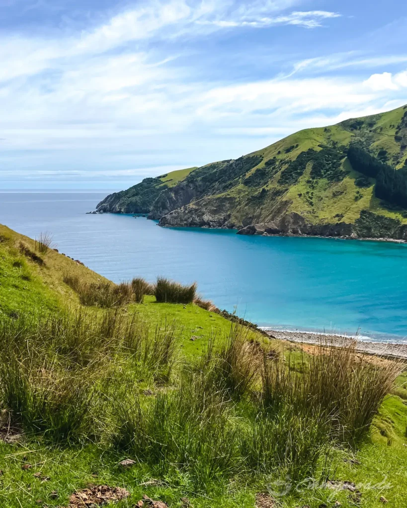 Cable bay Nelson hiking New Zealand