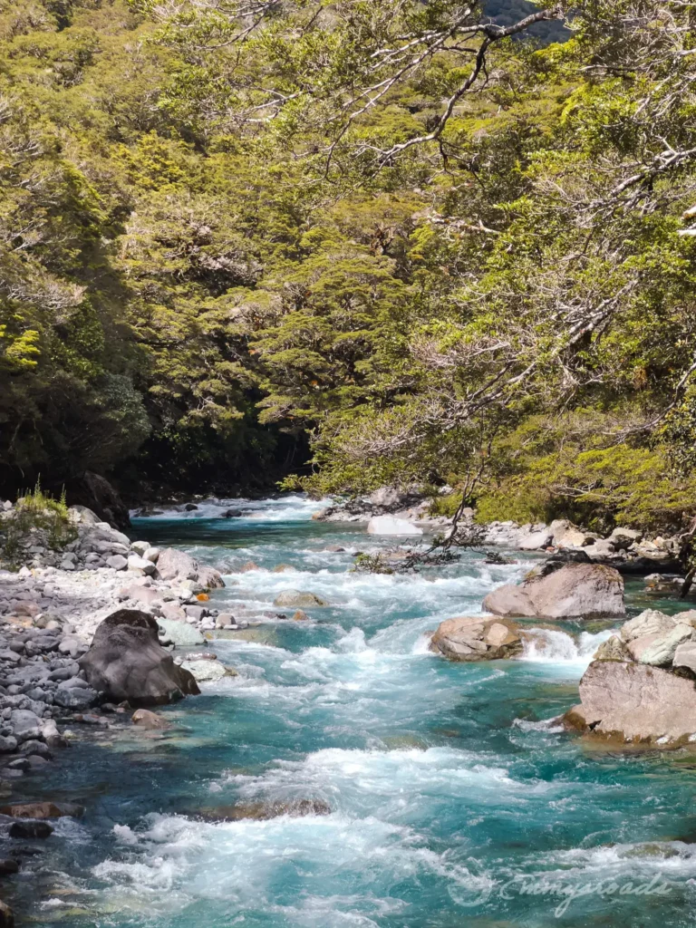 Lake Marian Trail New Zealand