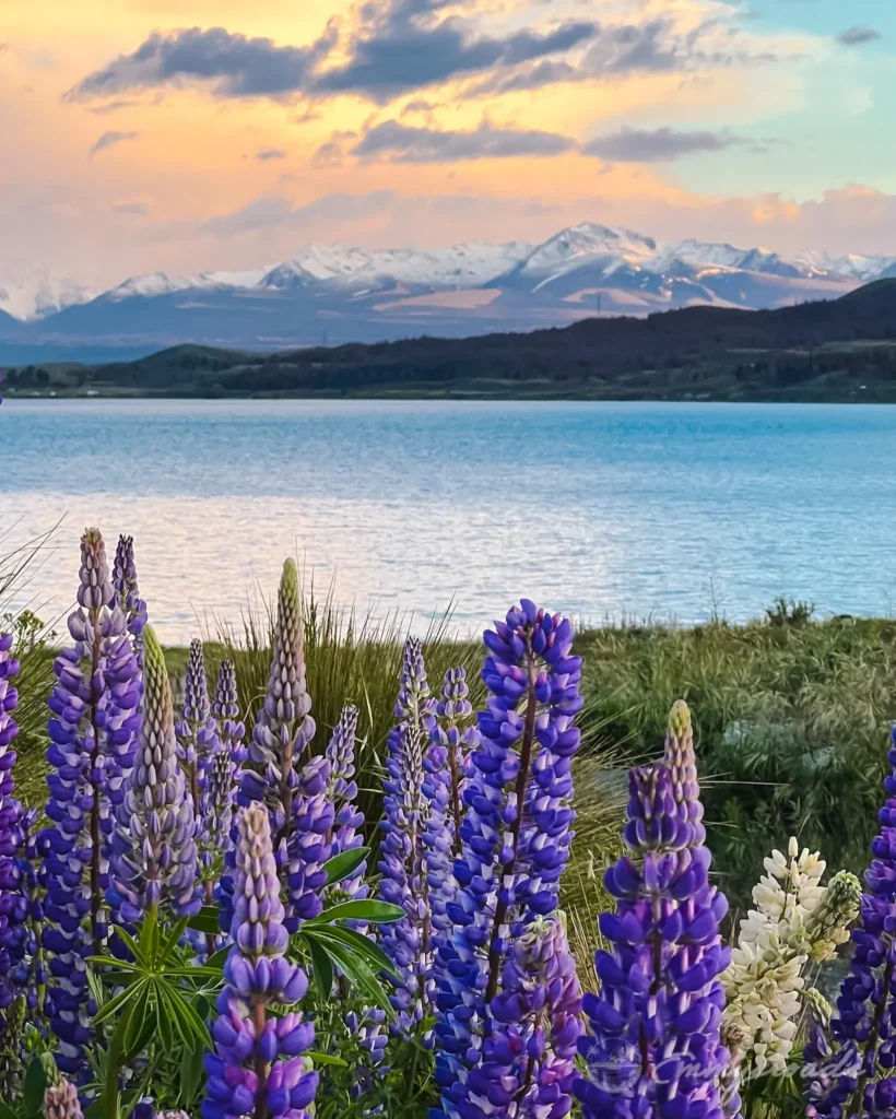 Lake Pukaki New Zealand