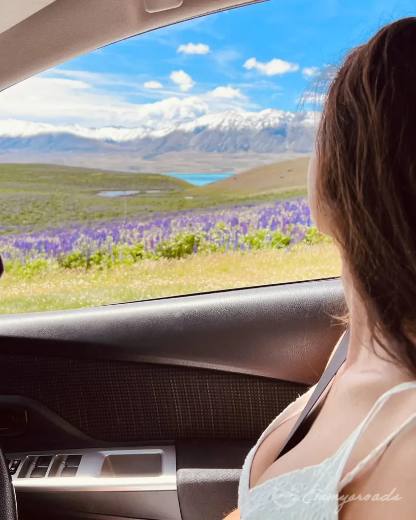 Lupin Field lake Tekapo New Zealand road JPG