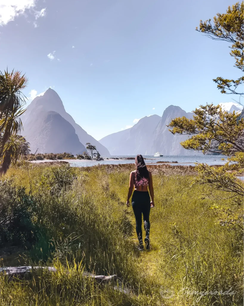 MILFORD FORESHORE WALK hiking New Zealand