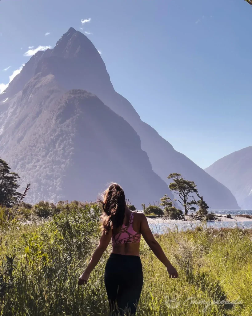 MILFORD FORESHORE WALK hiking New Zealand