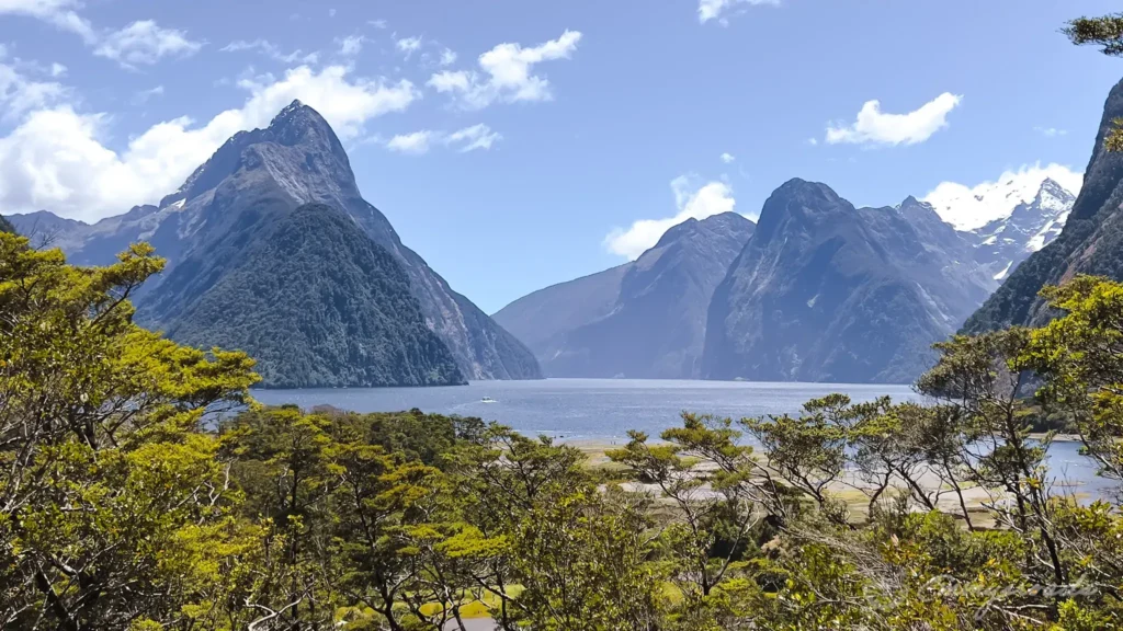 MILFORD Milford sound New Zealand Lookout