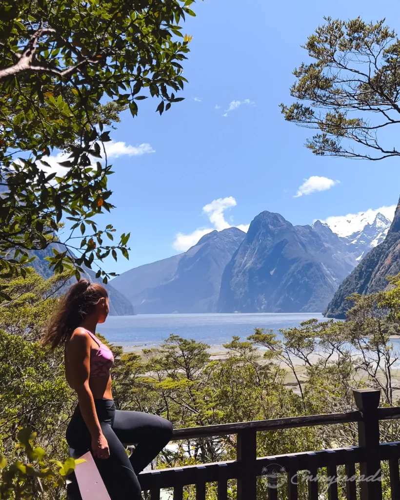 MILFORD Milford sound New Zealand Lookout