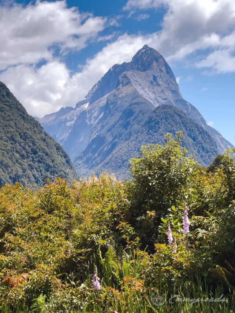Milford sound New Zealand boat tour