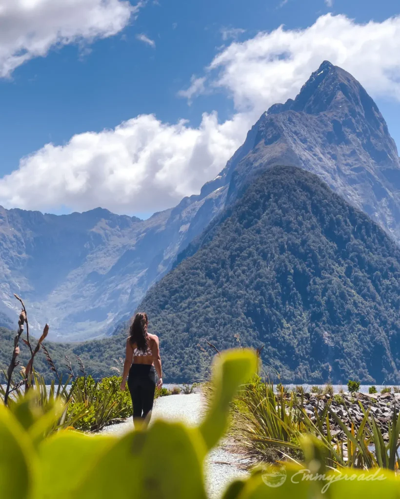 Milford sound New Zealand boat tour